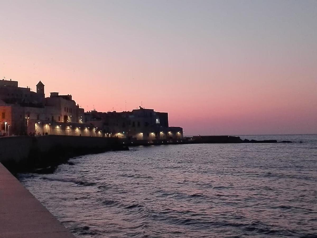 Eremo Del Paglia Villa Джовинацо Екстериор снимка